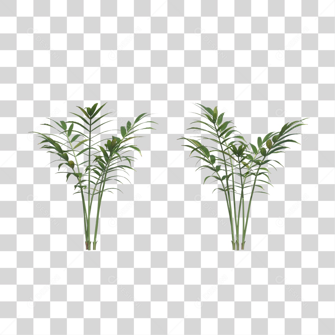 Árvore de Folha Verde Planta Cenário PNG Transparente