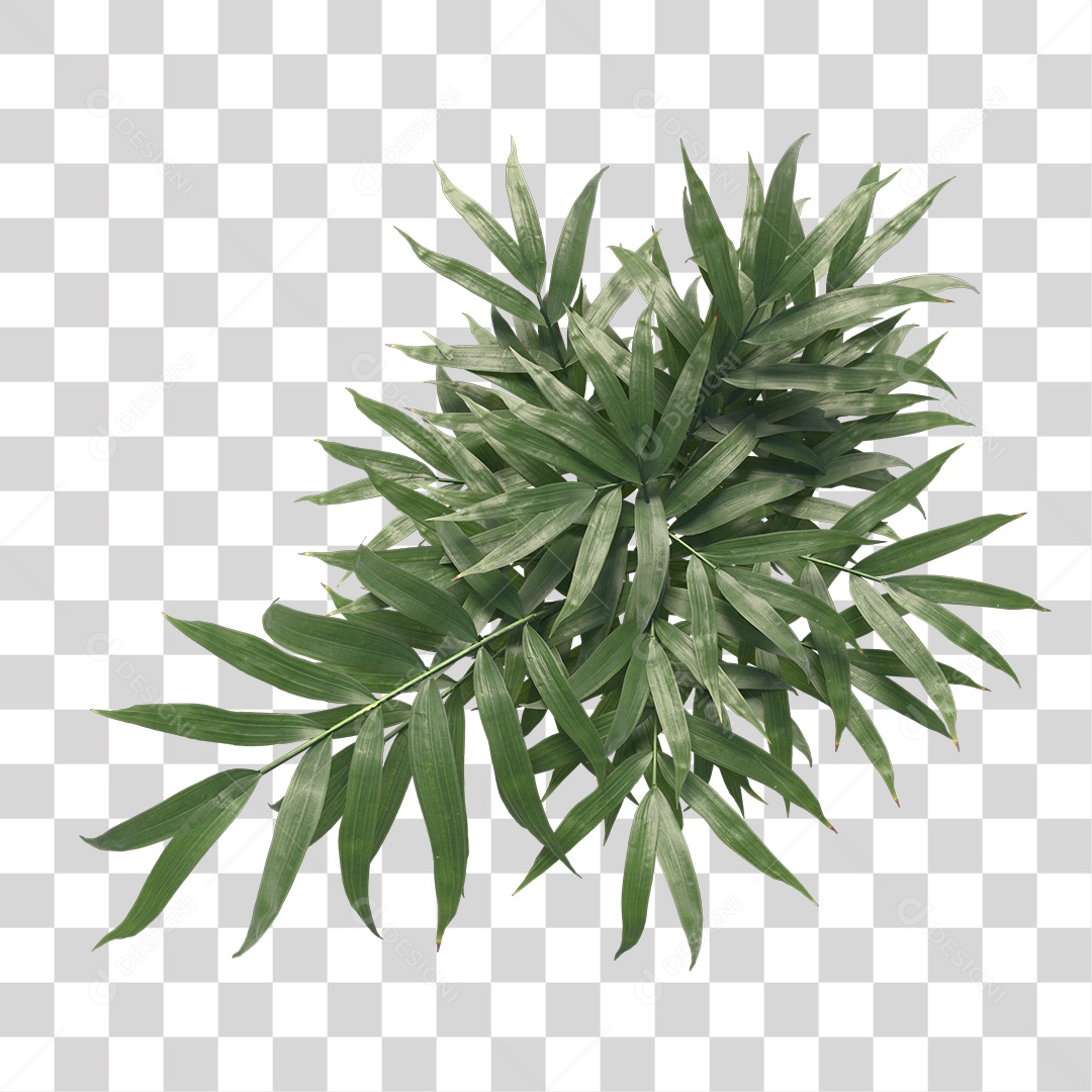 Árvore de Folha Verde Planta Cenário PNG Transparente