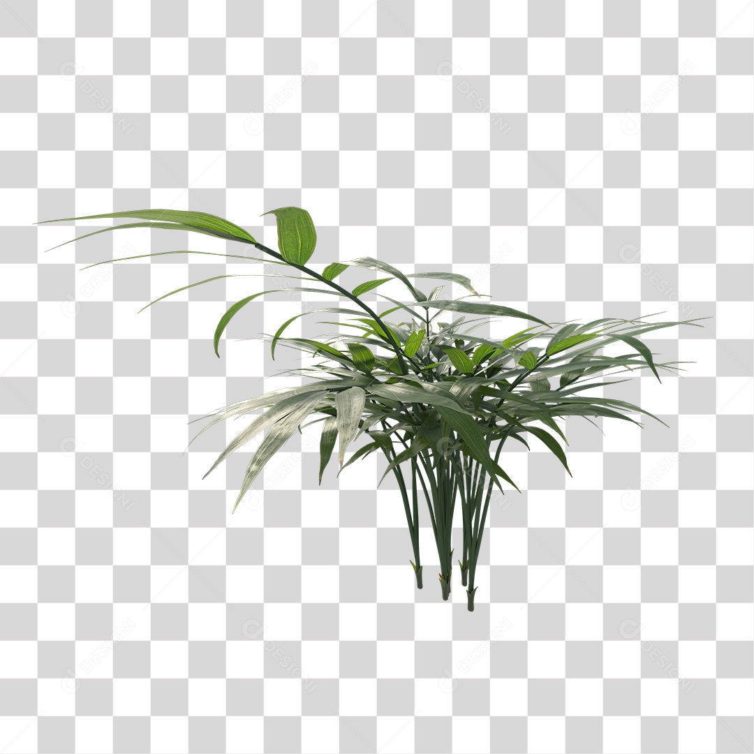 Árvore de Folha Verde Planta Cenário PNG Transparente