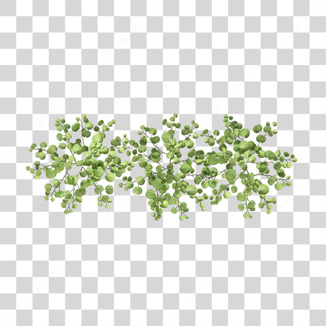 Árvore de Folha Verde Planta Cenário PNG Transparente