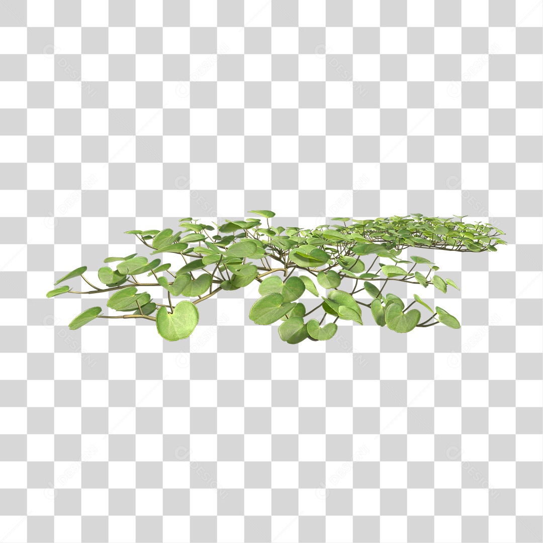 Árvore de Folha Verde Planta Cenário PNG Transparente