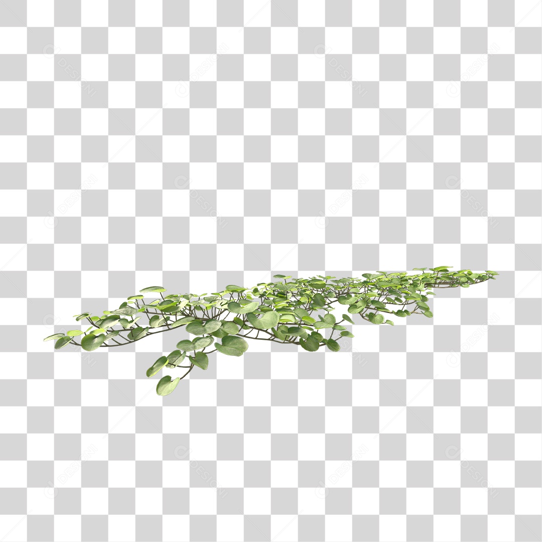 Árvore de Folha Verde Planta Cenário PNG Transparente