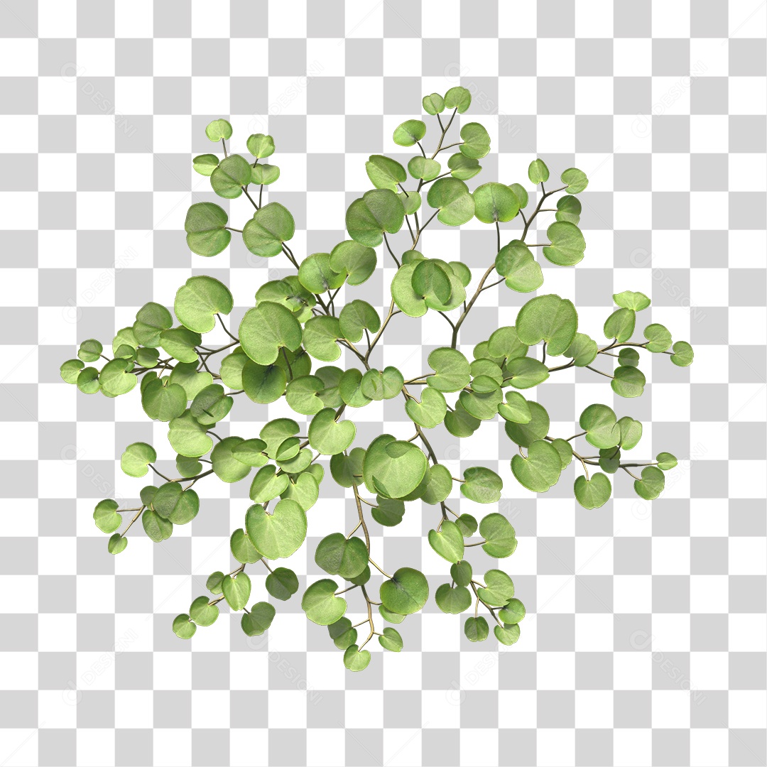 Árvore de Folha Verde Planta Cenário PNG Transparente