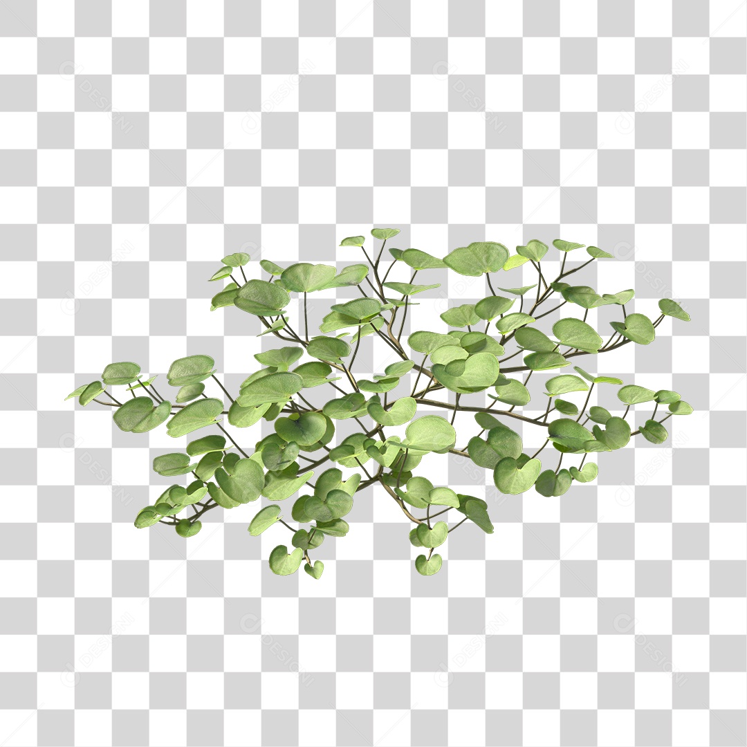 Árvore de Folha Verde Planta Cenário PNG Transparente