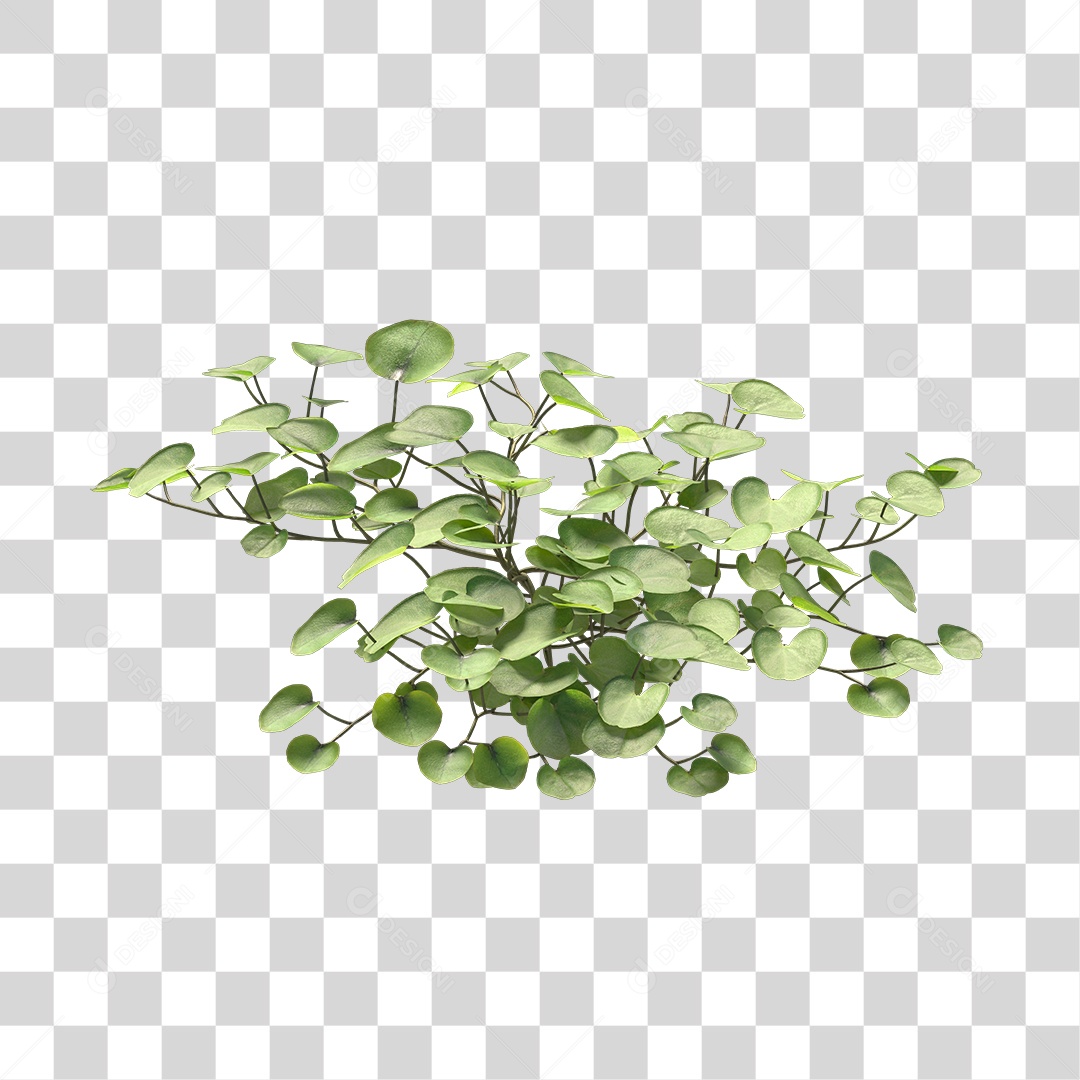 Árvore de Folha Verde Planta Cenário PNG Transparente