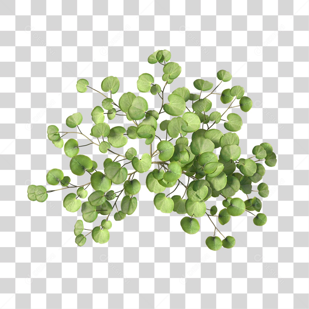 Árvore de Folha Verde Planta Cenário PNG Transparente