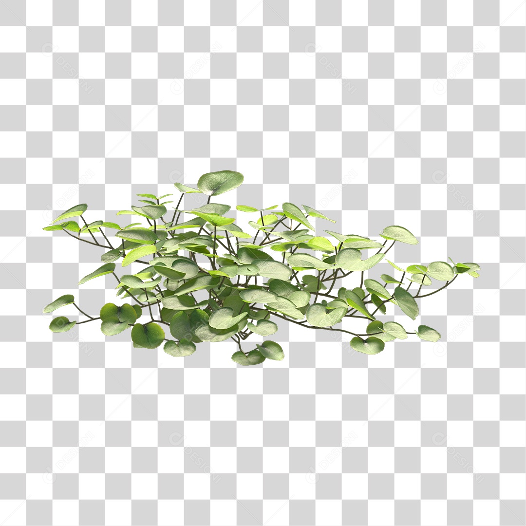 Árvore de Folha Verde Planta Cenário PNG Transparente