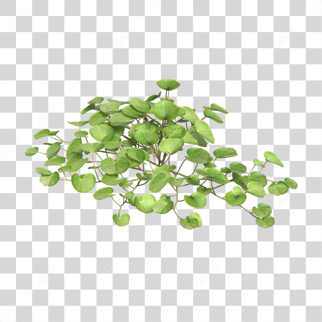 Árvore de Folha Verde Planta Cenário PNG Transparente