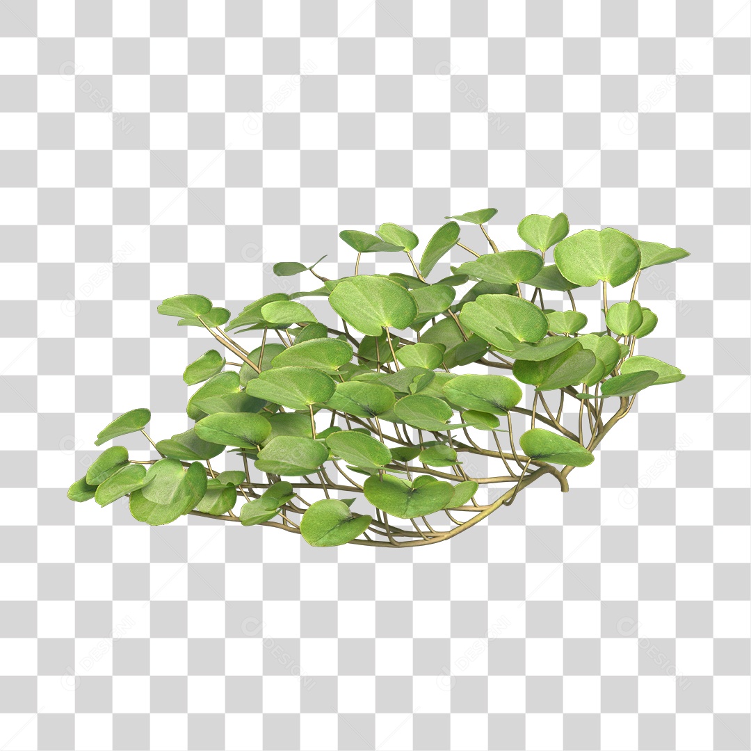 Árvore de folha verde Planta Cenário PNG Transparente