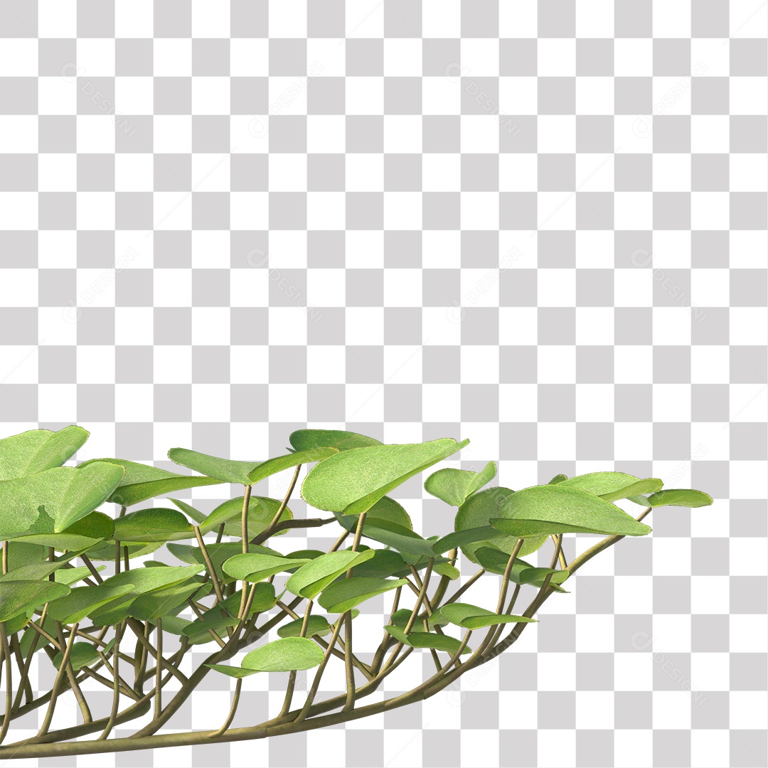 Árvore de folha verde, planta PNG Transparente