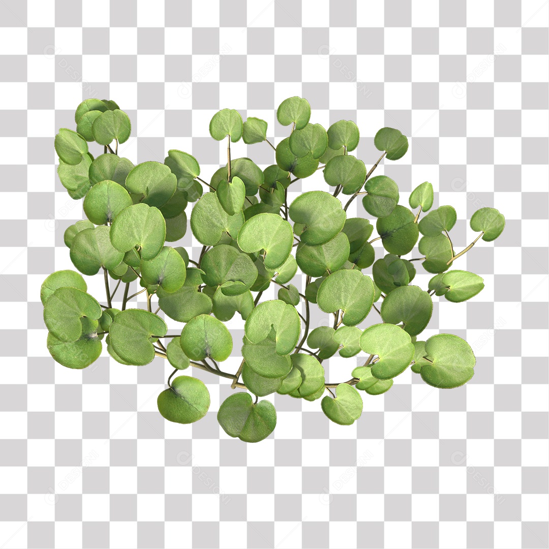 Árvore de folha verde, planta PNG Transparente