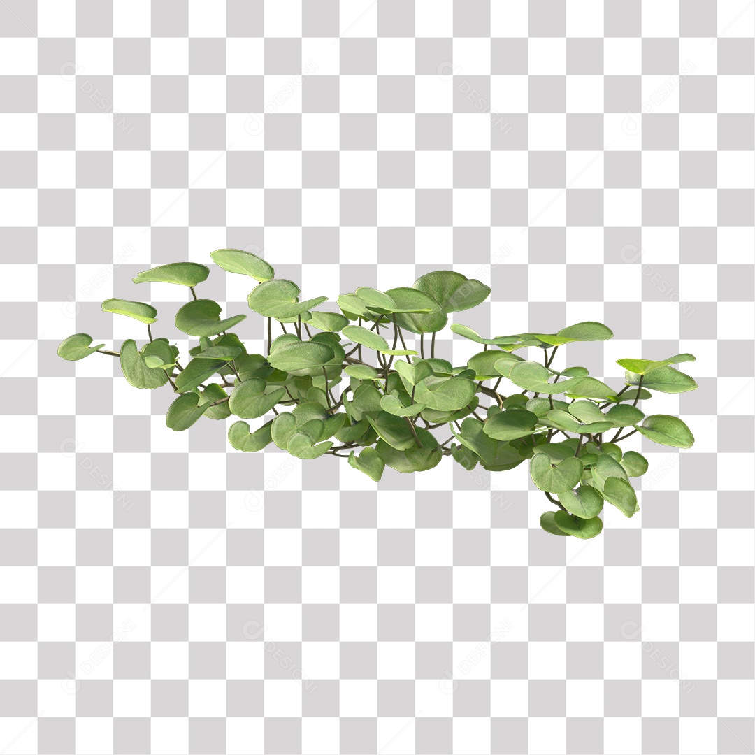 Árvore de folha verde, planta PNG Transparente