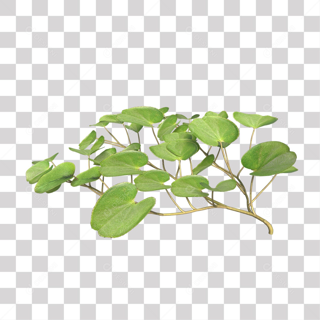 Árvore de folha verde, planta PNG Transparente