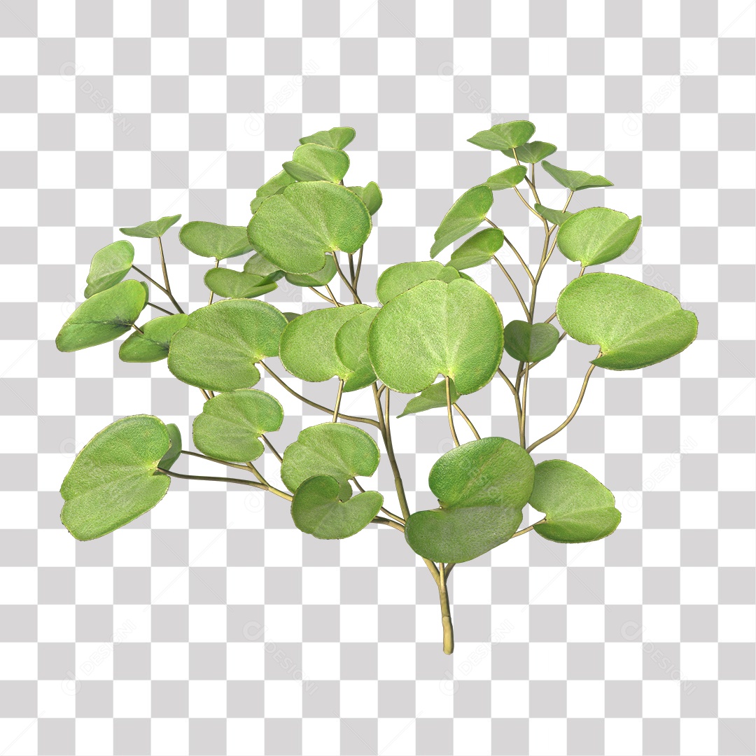 Árvore de folha verde, planta PNG Transparente