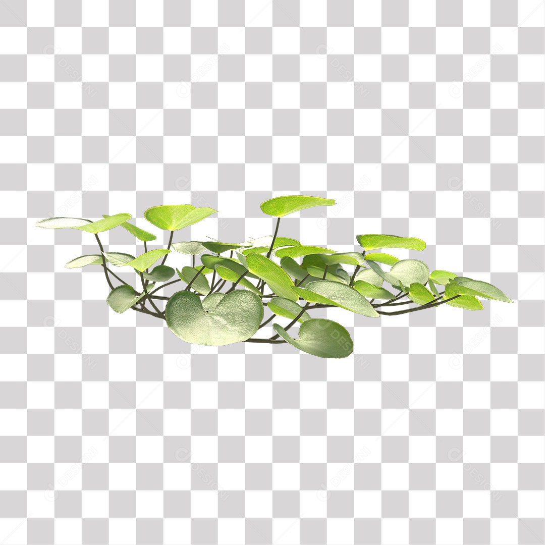 Árvore de folha verde, planta PNG Transparente