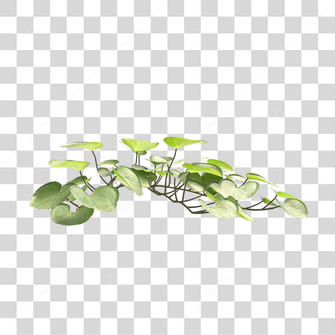 Árvore de folha verde, planta PNG Transparente