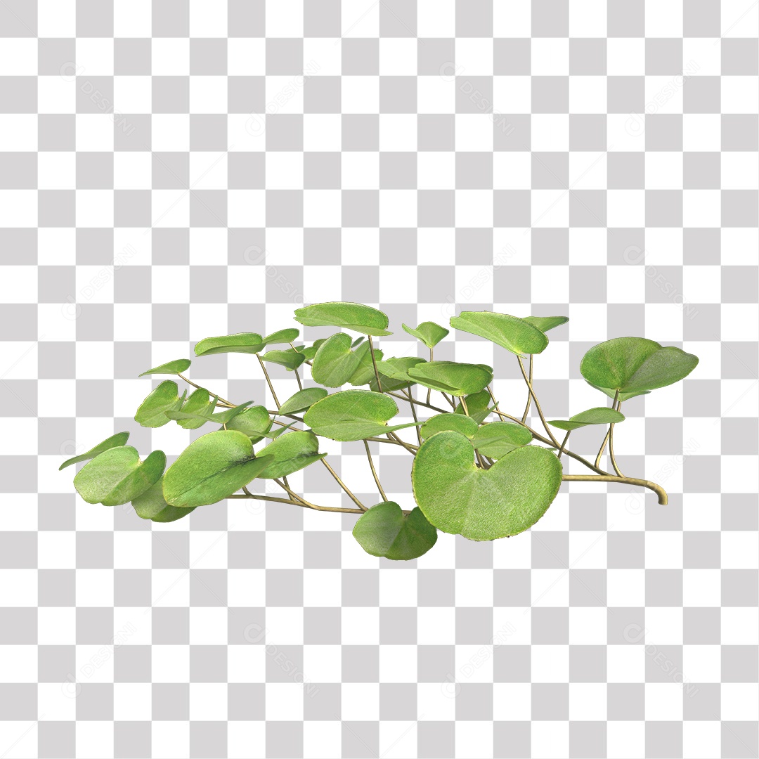 Árvore de folha verde, planta PNG Transparente
