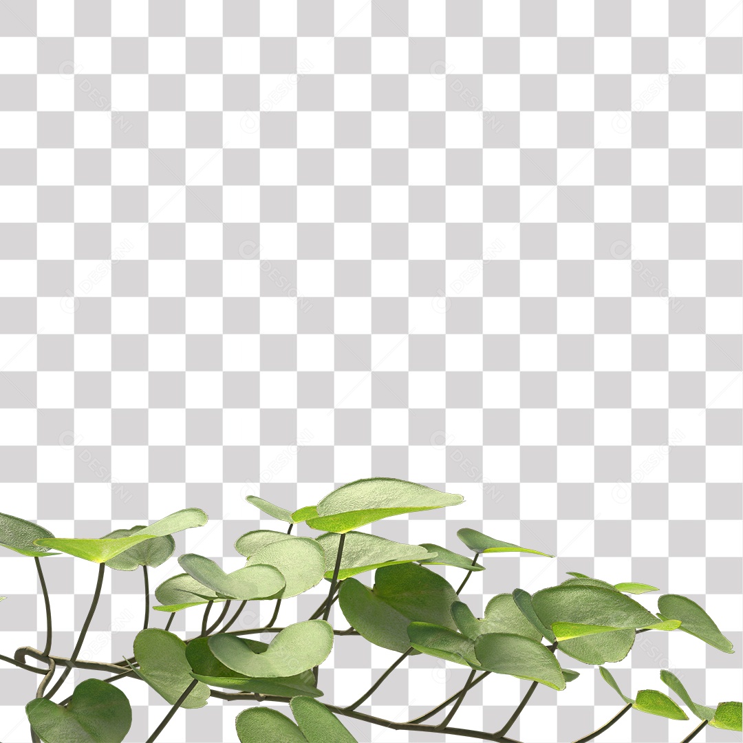 Árvore de folha verde, planta PNG Transparente