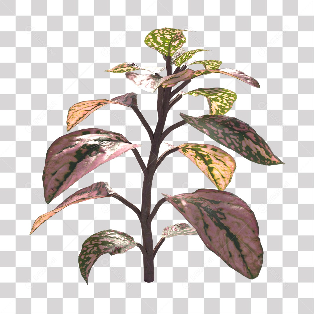 Planta Folhas Colorida PNG Transparente