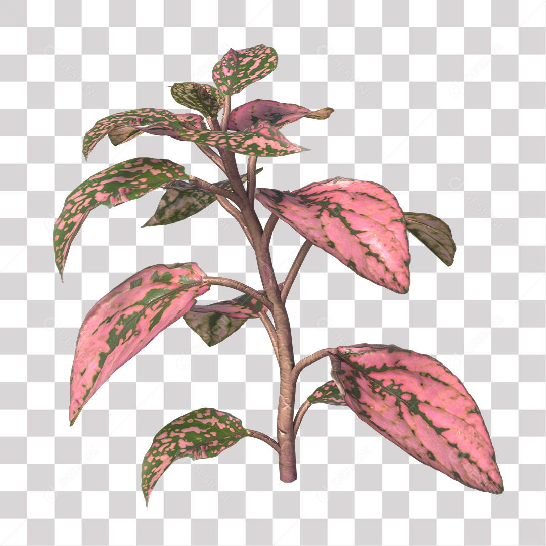 Planta Folhas Colorida PNG Transparente