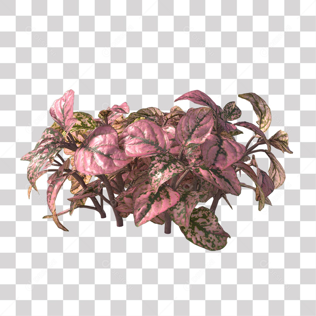 Planta Folhas Colorida PNG Transparente