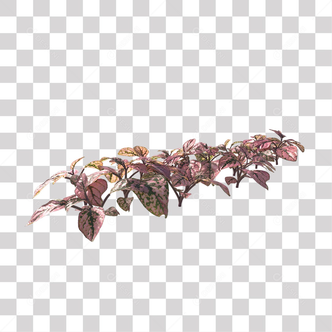 Planta Folhas Colorida PNG Transparente