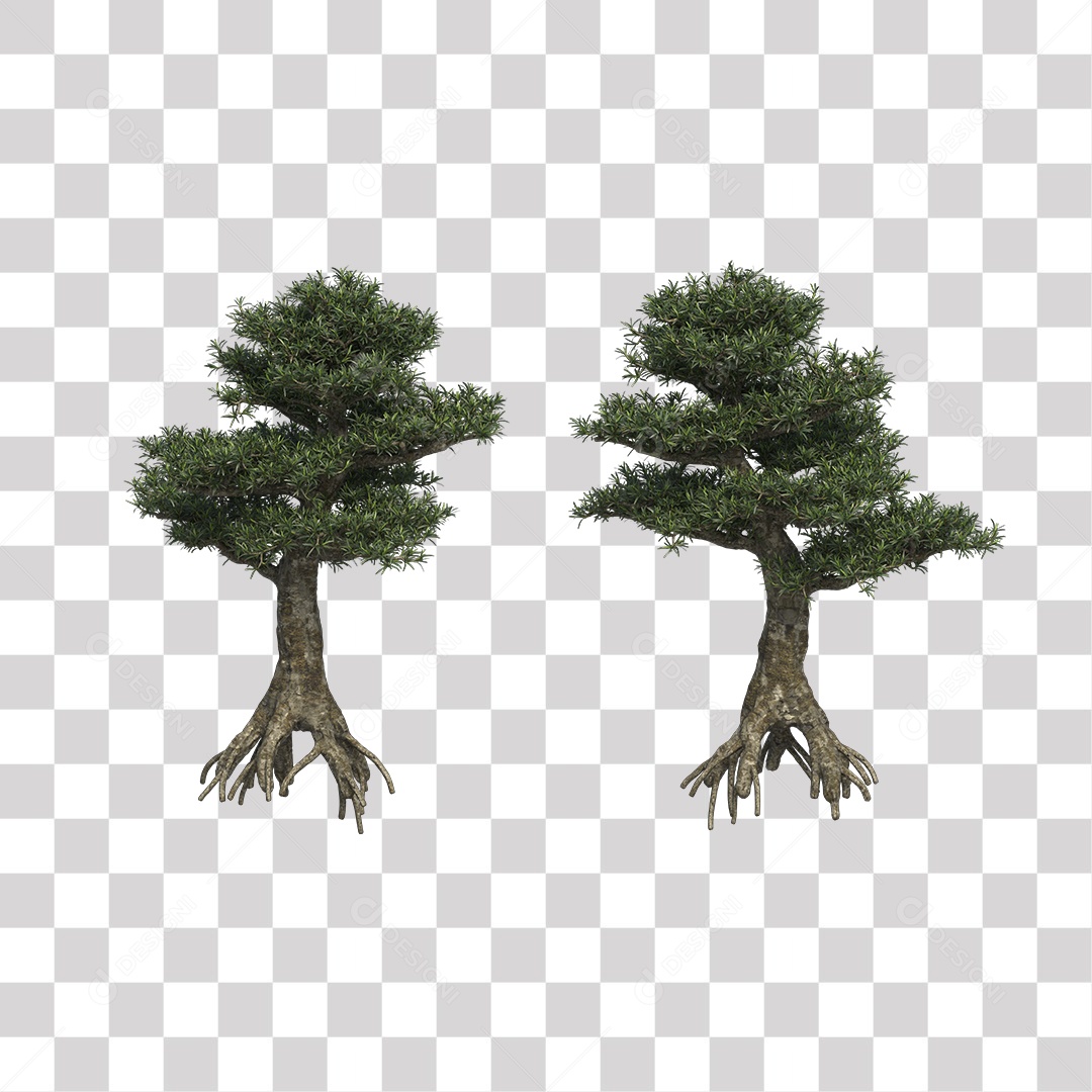 Árvore de folha verde, planta PNG Transparente