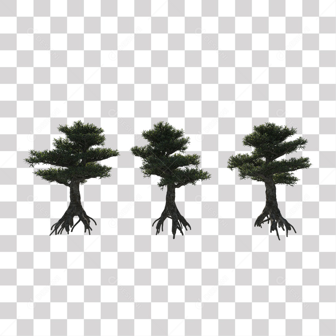 Árvore de folha verde, planta PNG Transparente