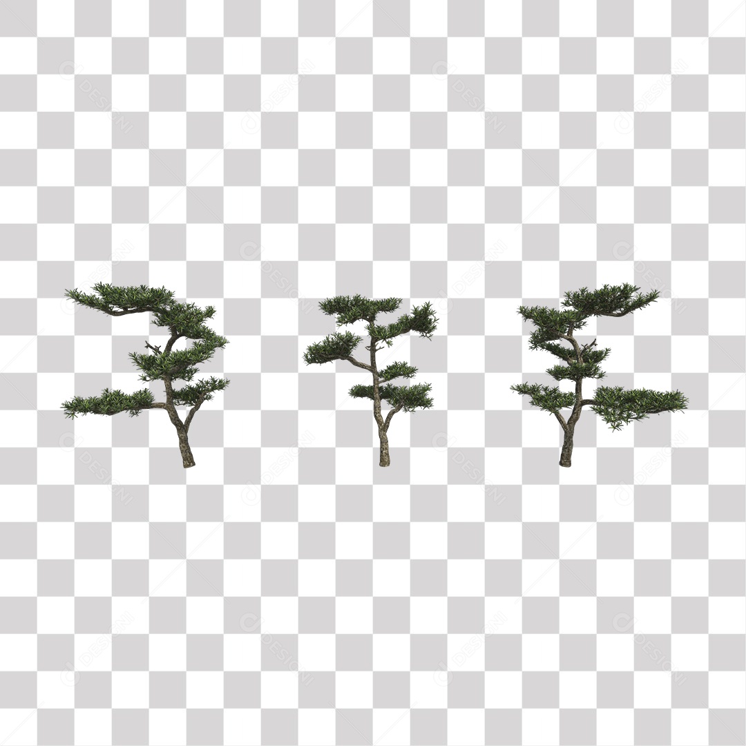 Árvore de folha verde, planta PNG Transparente