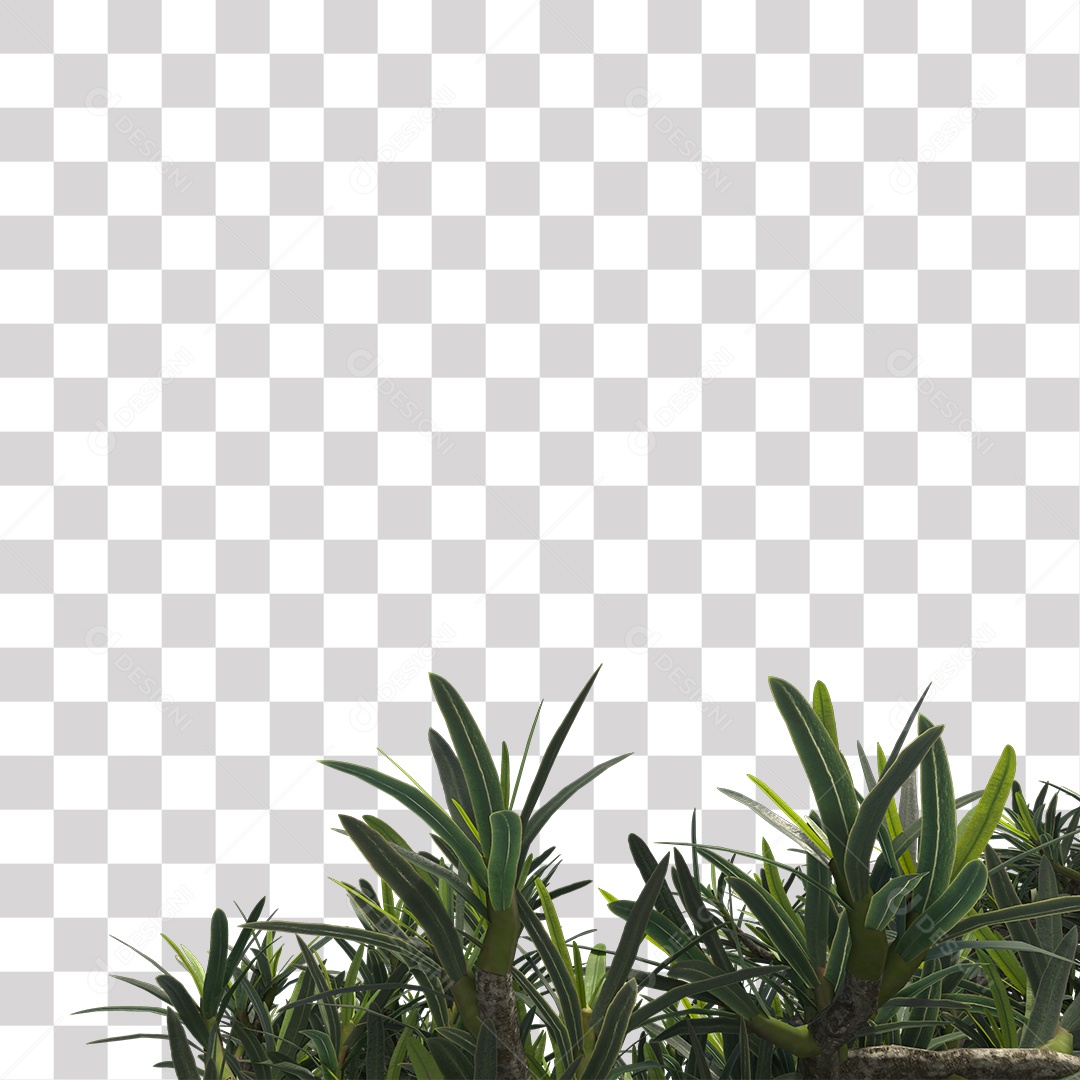 Árvore de folha verde, planta PNG Transparente