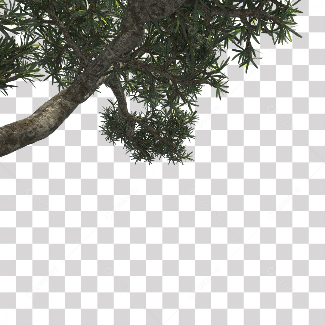 Árvore de folha verde, planta PNG Transparente