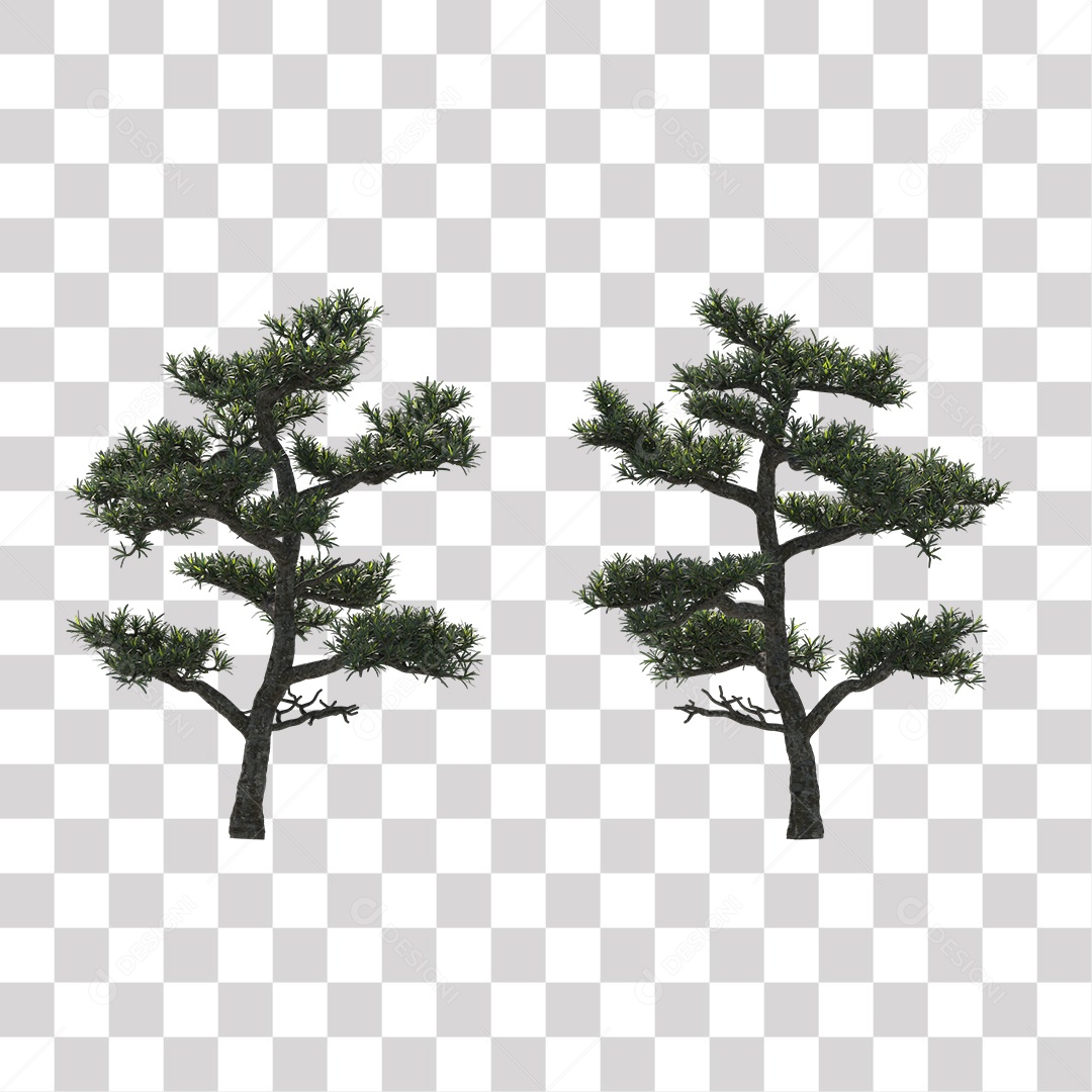 Árvore de folha verde, planta PNG Transparente
