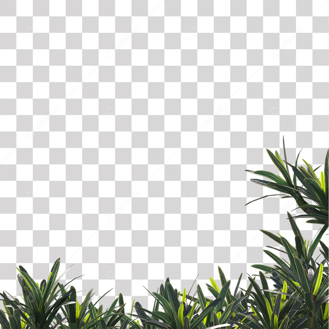 Árvore de folha verde, Planta, Cenário PNG Transparente