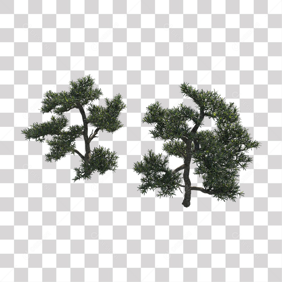 Árvore de folha verde, Planta, Cenário PNG Transparente