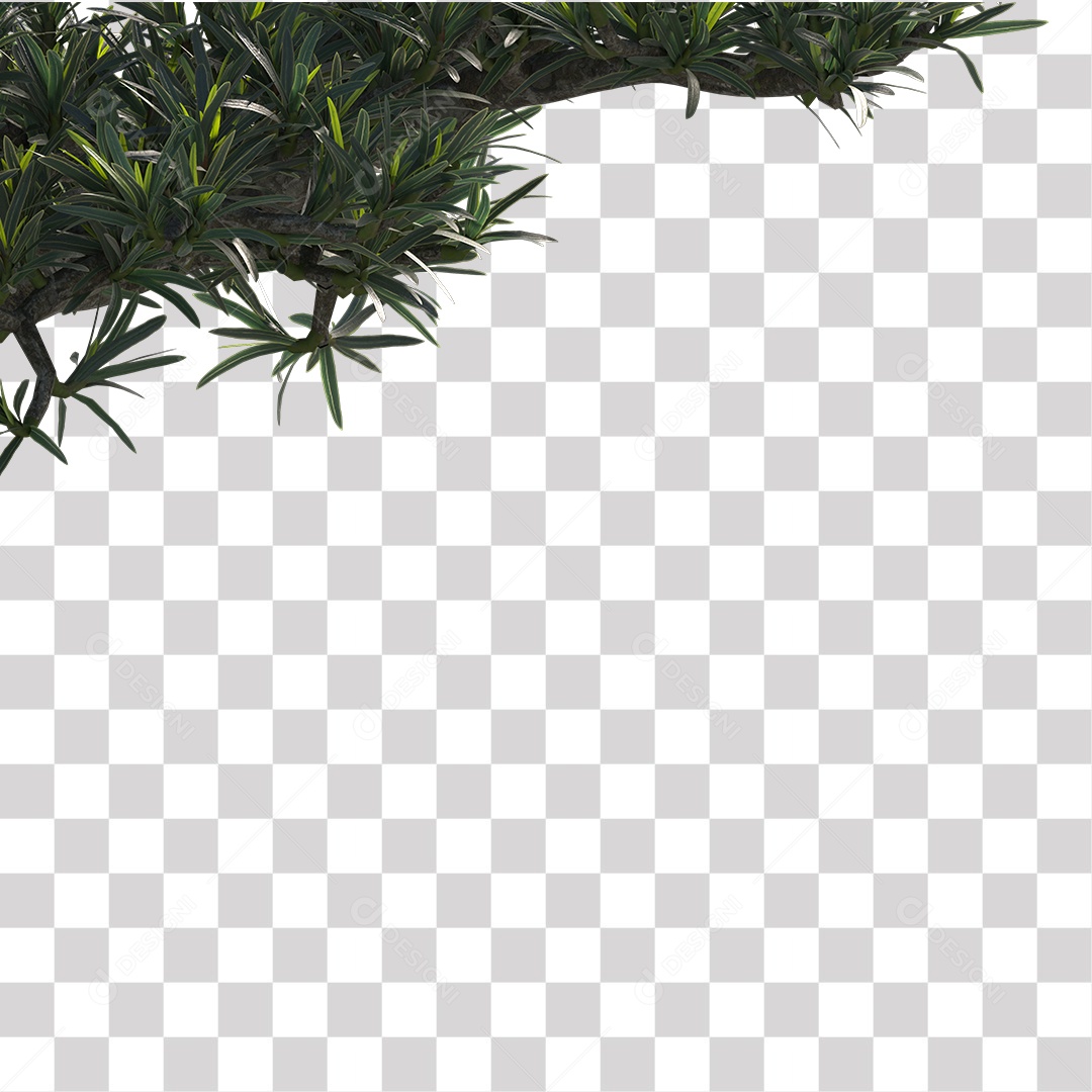 Árvore de folha verde, Planta, Cenário PNG Transparente