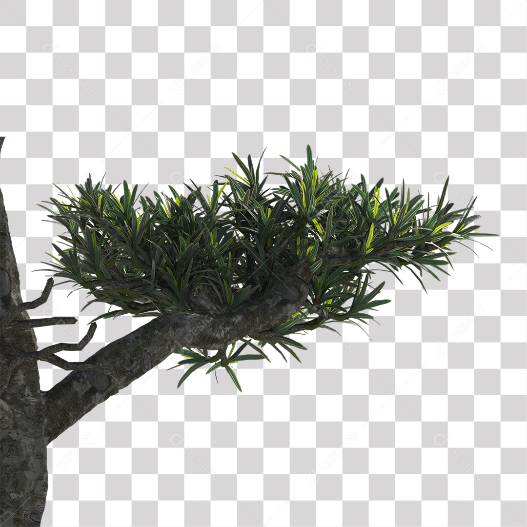 Árvore de folha verde, Planta, Cenário PNG Transparente