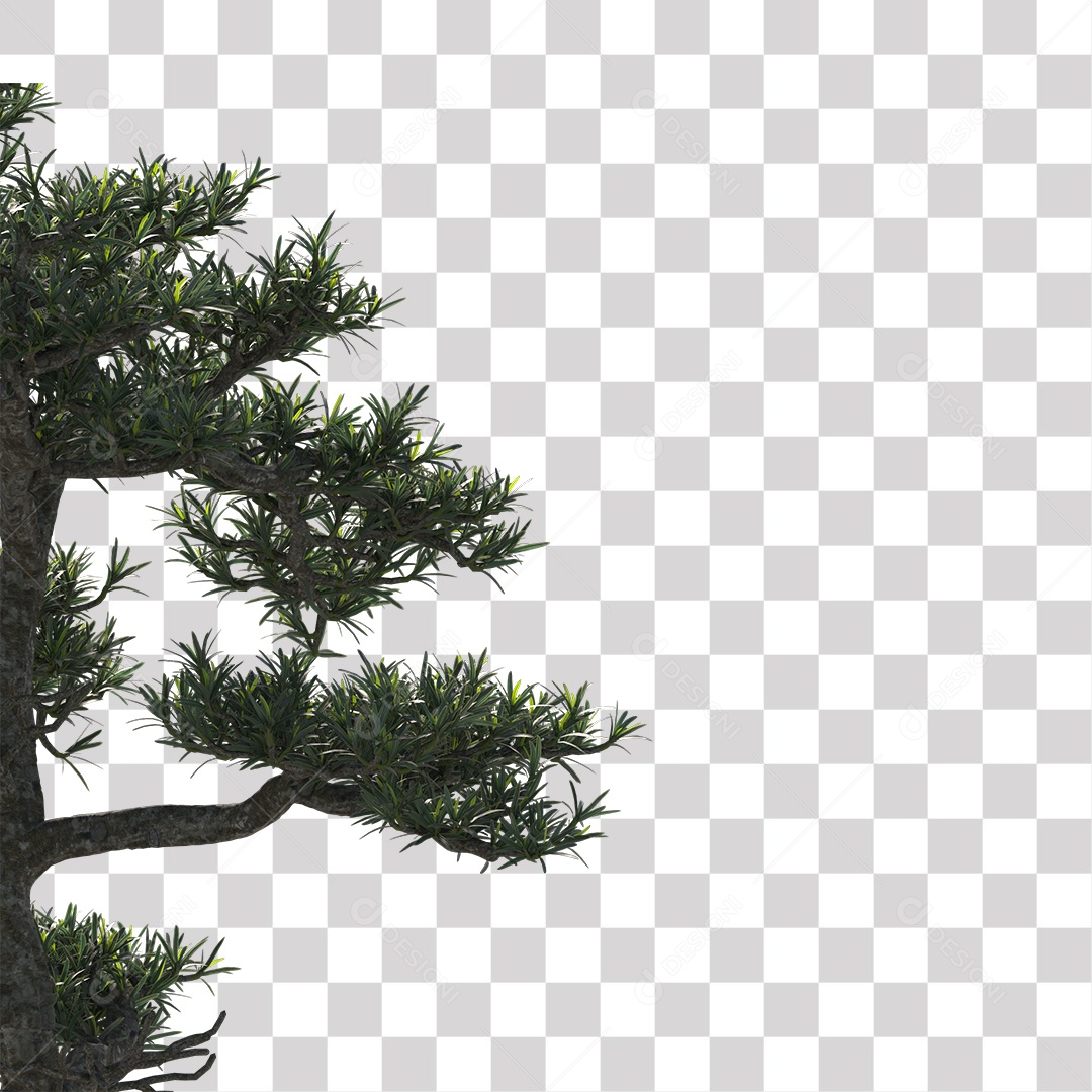 Árvore de folha verde, Planta, Cenário PNG Transparente