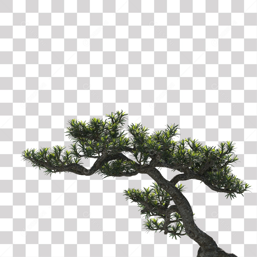 Árvore de folha verde, Planta, Cenário PNG Transparente