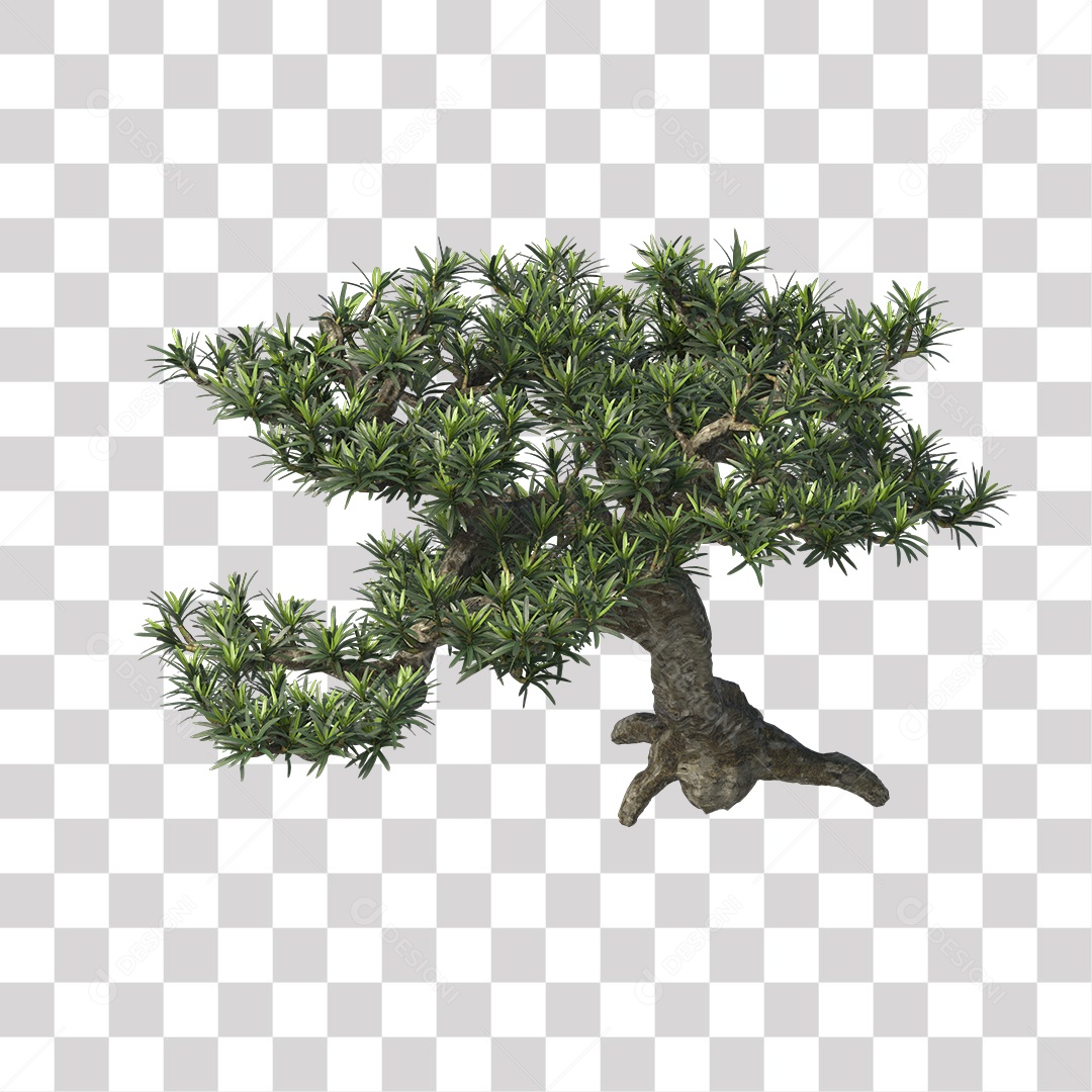 Árvore de folha verde, Planta, Cenário PNG Transparente