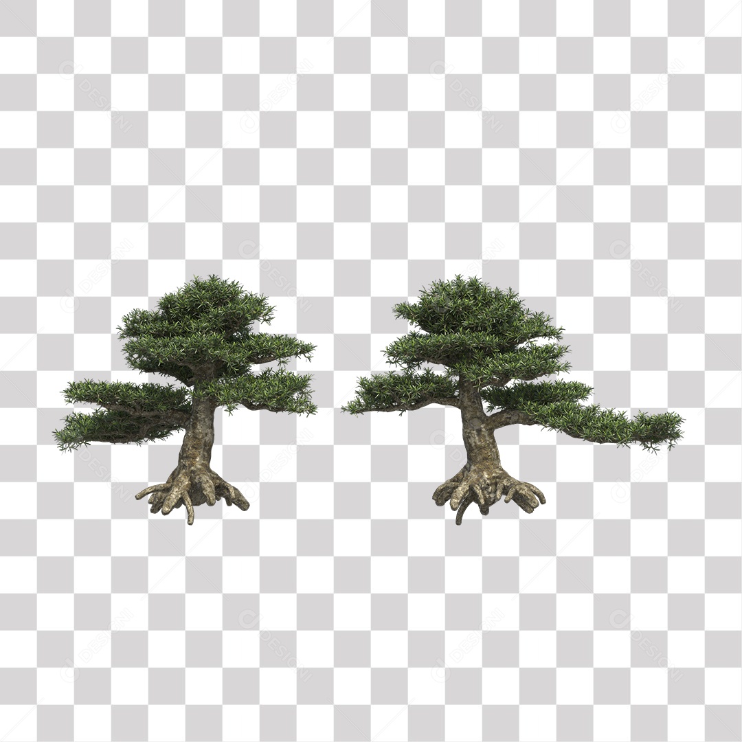 Árvore de folha verde, Planta, Cenário PNG Transparente