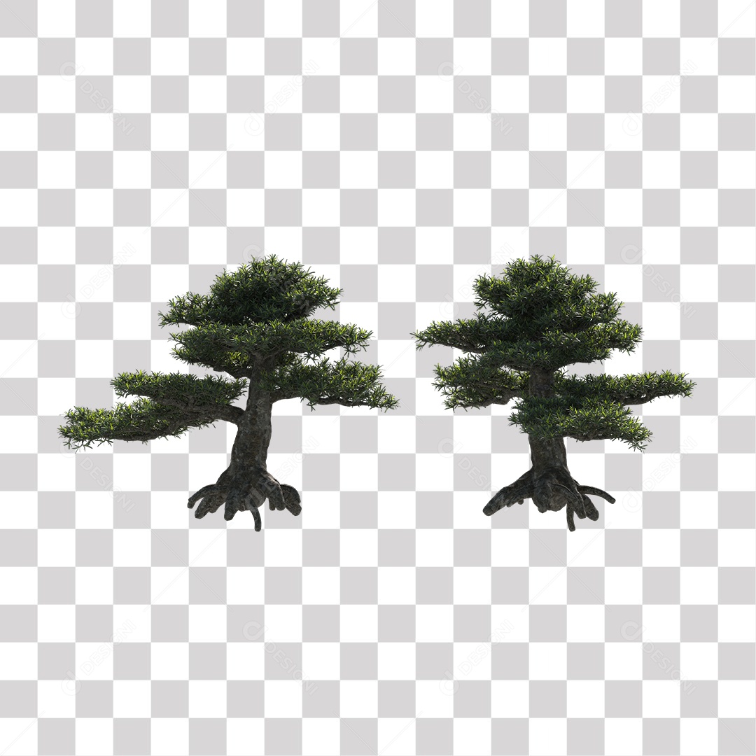 Árvore de folha verde, Planta, Cenário PNG Transparente