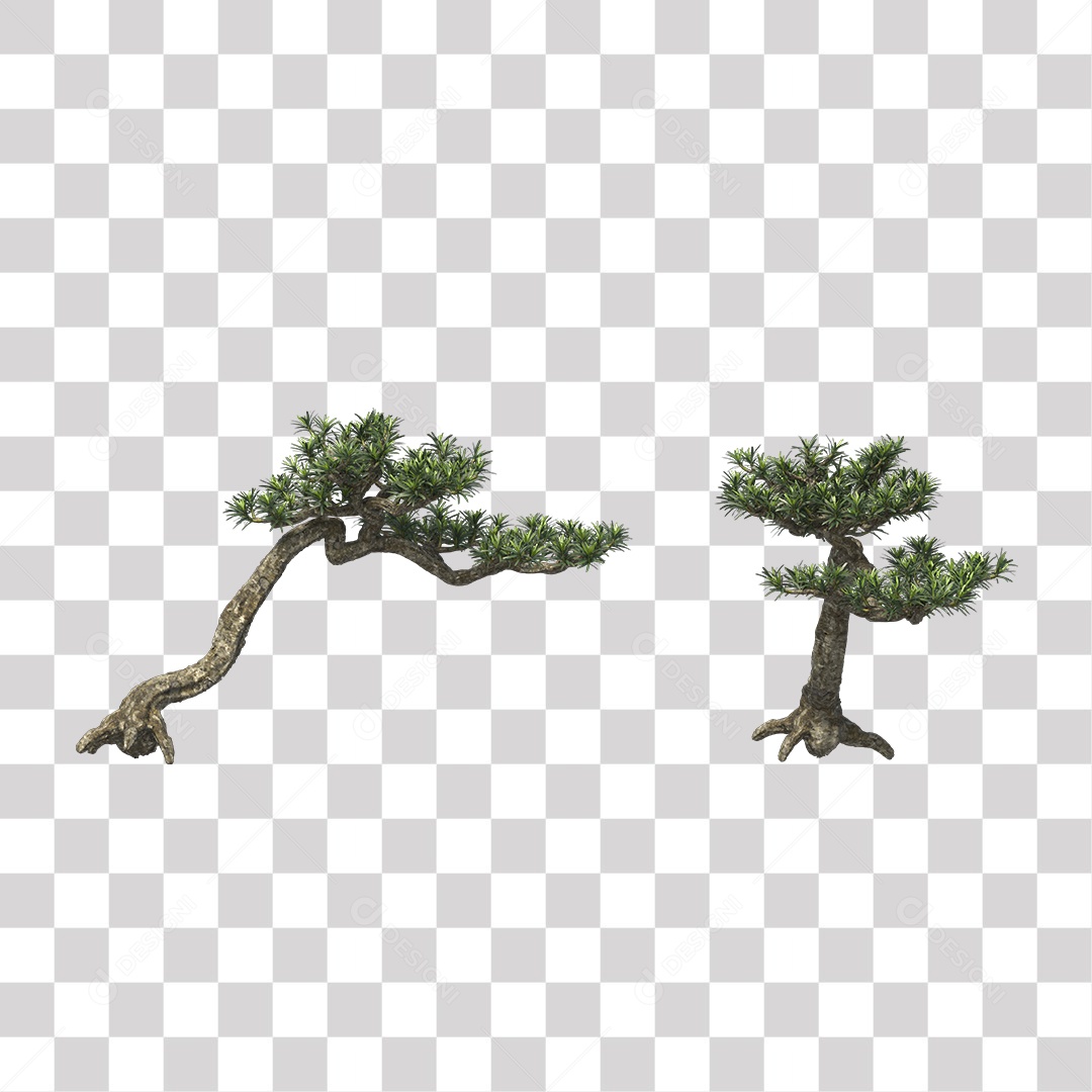 Árvore de folha verde, Planta, Cenário PNG Transparente