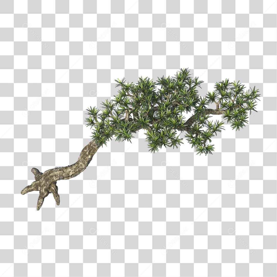 Árvore de folha verde, Planta, Cenário PNG Transparente