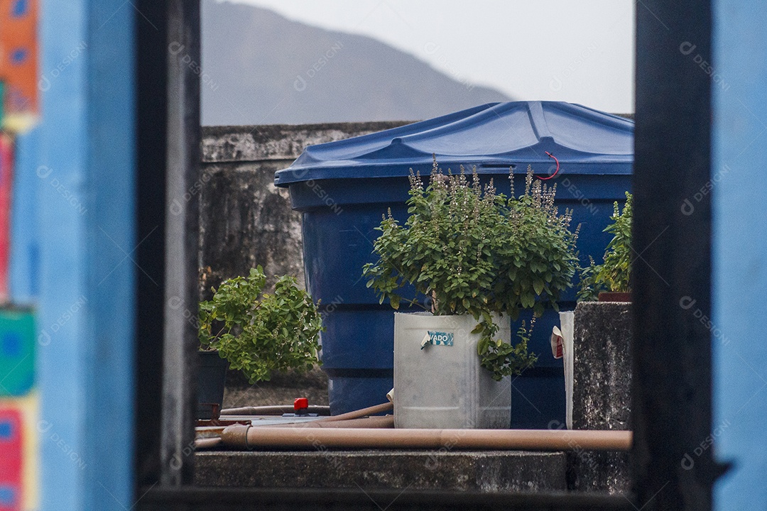 Detalhes do morro do pinto no Rio de Janeiro - brasil