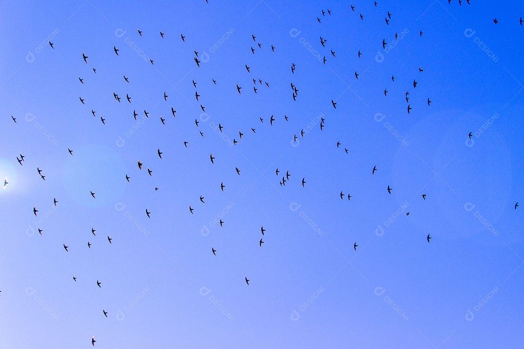 detalhes de um céu azul