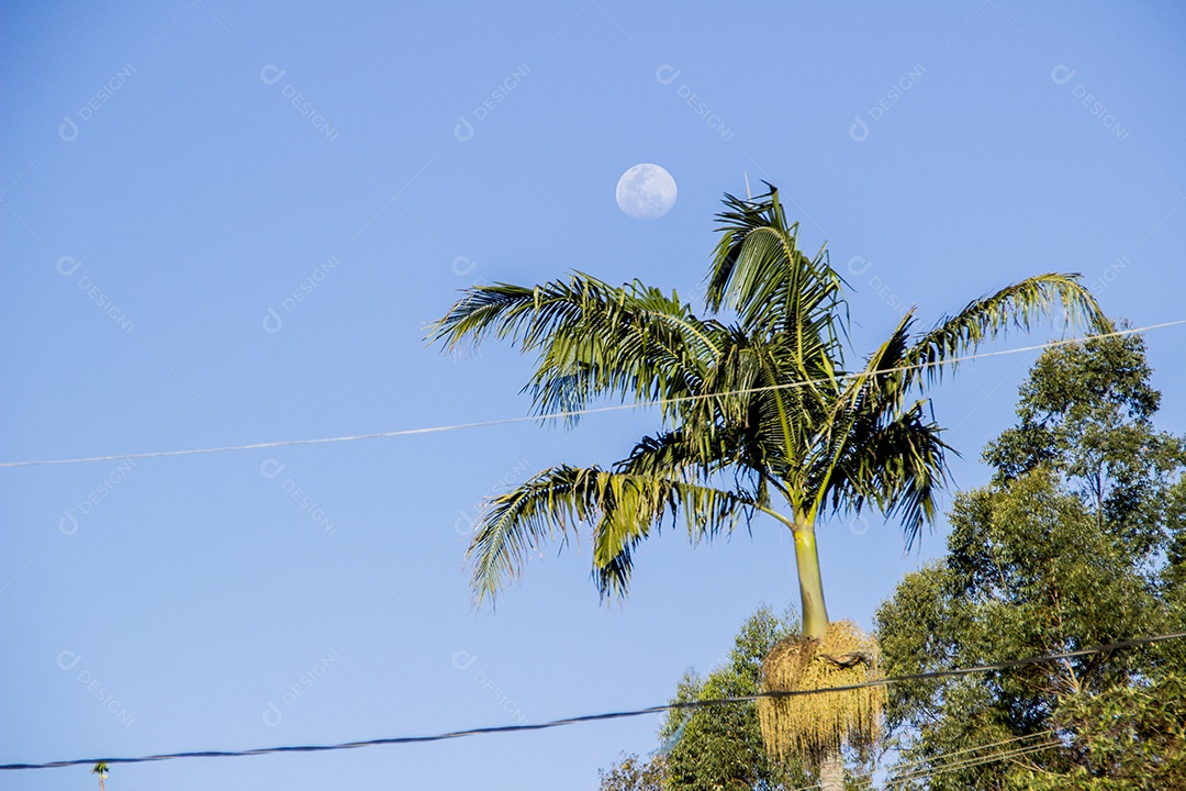 Céu azul de dia com lua cheia