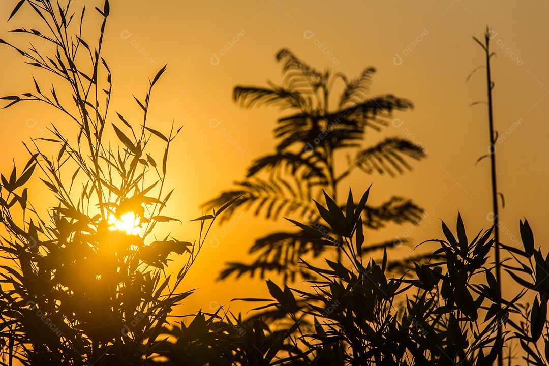 nascer do sol e suas cores