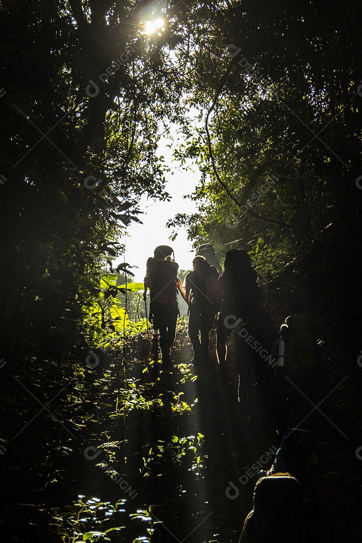 silhuetas de pessoas fazendo trilha