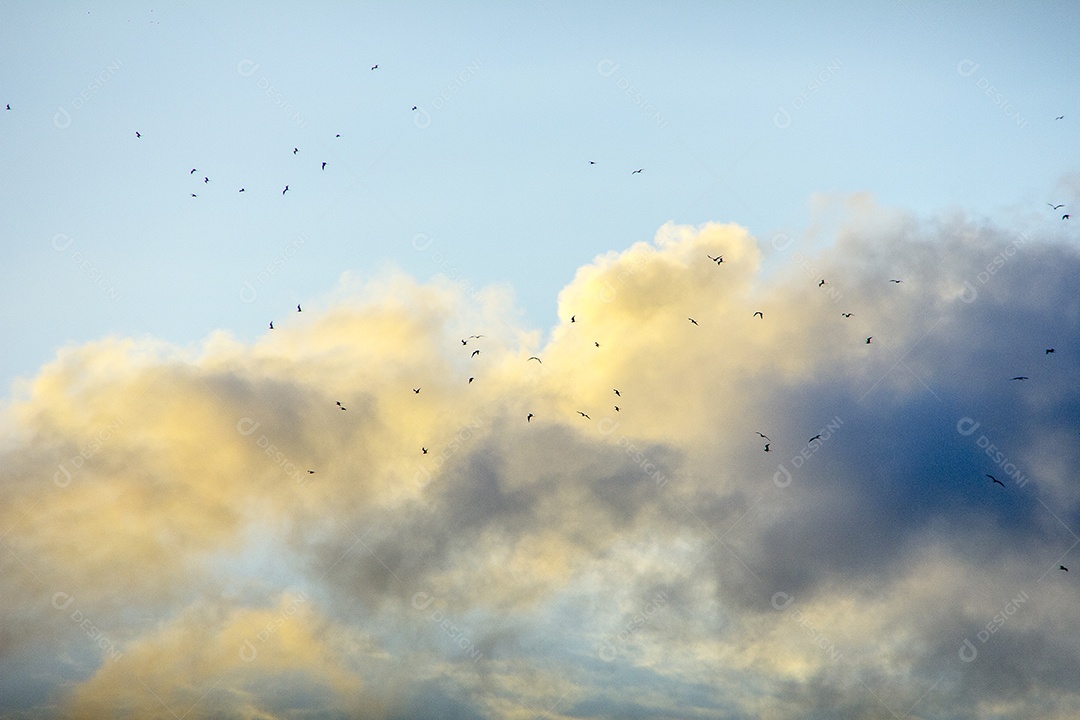 Nascer do sol e suas cores.