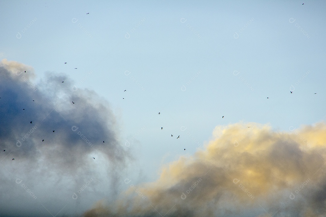 Nascer do sol e suas cores.